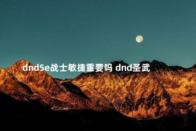 dnd5e战士敏捷重要吗 dnd圣武士